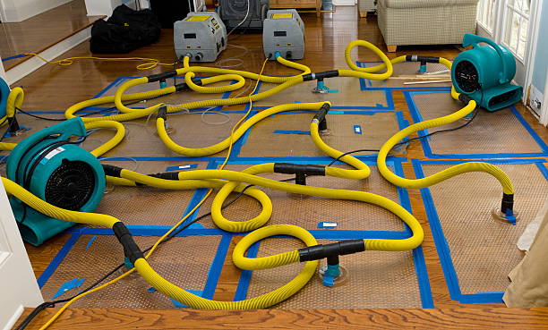 Professional Crawl Space Water Removal technician working in Higdon, AL
